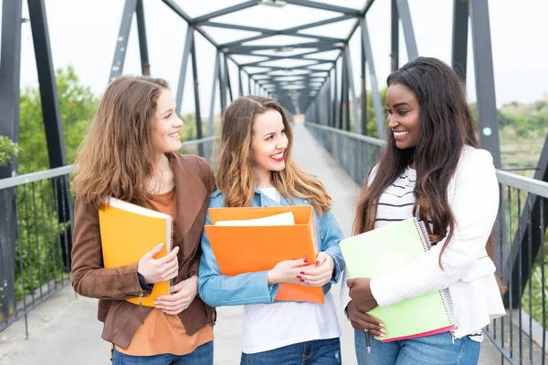 Grupa Multi Etniczne Młodych Studentów Kampusie Uniwersytetu — Zdjęcie stockowe