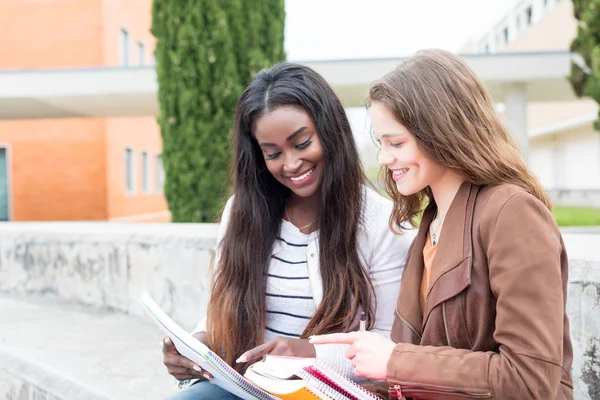 Grupp Multi Etniska Unga Studenter Vid Universitetets Campus — Stockfoto