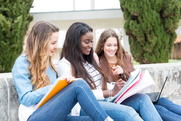 Grup çok etnik genç öğrenciler Üniversitesi Kampüsü