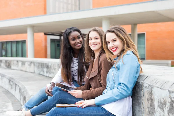 Gruppo Multi Etnico Giovani Studenti Presso Campus Universitario — Foto Stock