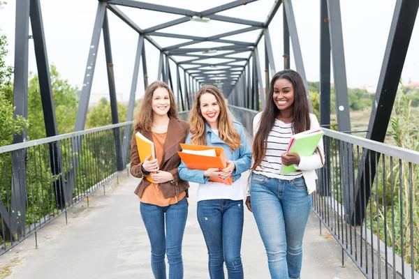 Gruppo Multi Etnico Giovani Studenti Presso Campus Universitario — Foto Stock