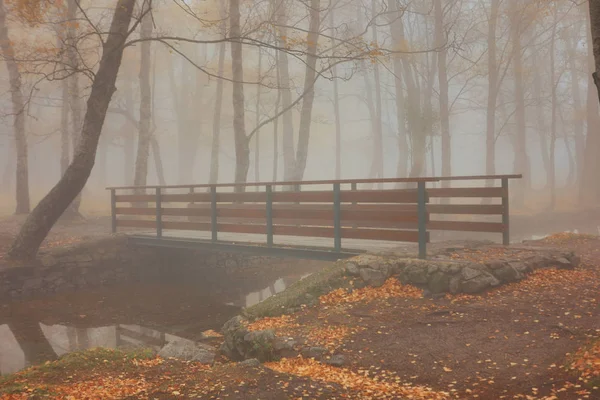 Őszi Lövés Portugál Nemzeti Park Manteigas — Stock Fotó