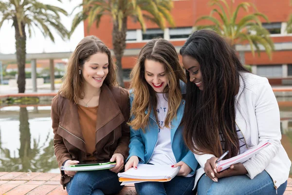 Grupo Jovens Estudantes Multi Étnicos Campus Universitário — Fotografia de Stock