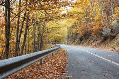 Manteigas 'ta Autumun - Serra da Estrela - Portekiz