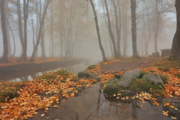 Manteigas 'ta Autumun - Serra da Estrela - Portekiz