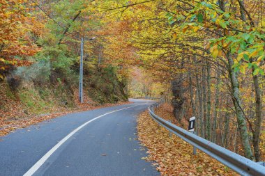 Manteigas 'ta Autumun - Serra da Estrela - Portekiz