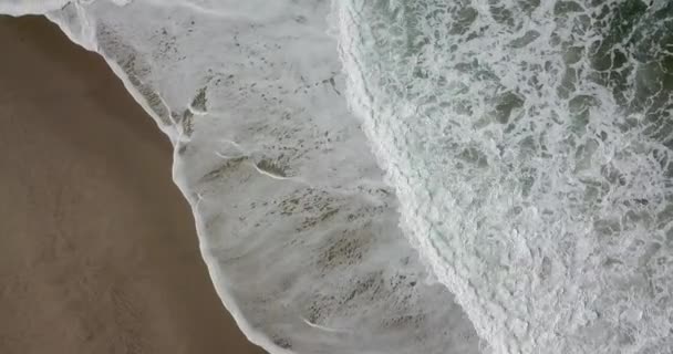 Beautiful Portuguese beach of Barra — Stock Video