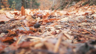 Manteigas 'ta Autumun - Serra da Estrela - Portekiz