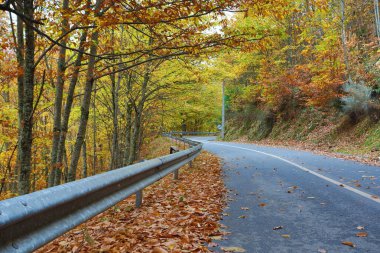 Manteigas 'ta Autumun - Serra da Estrela - Portekiz