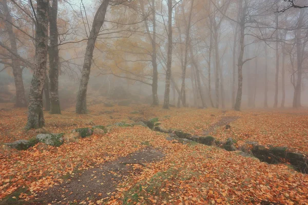 Autumun Manteigas Serra Estrela Portogallo — Foto Stock