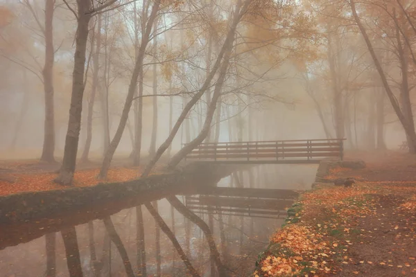 Manteigas Autumun Serra Estrela Portekiz Telifsiz Stok Imajlar