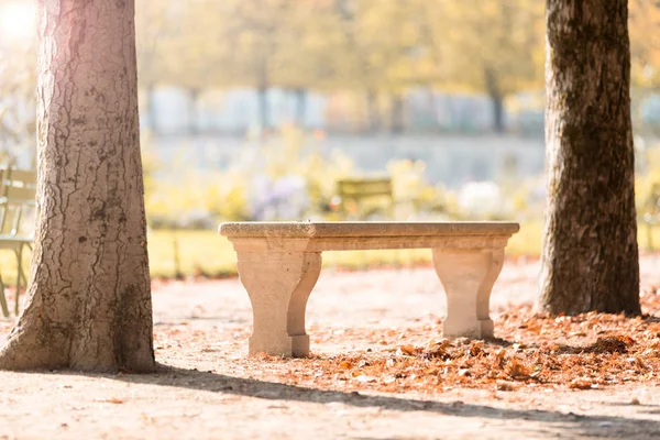 Autumn Paris Garden Tuileries Scenic View Autumn Park Fallen Leaves — Stock Photo, Image