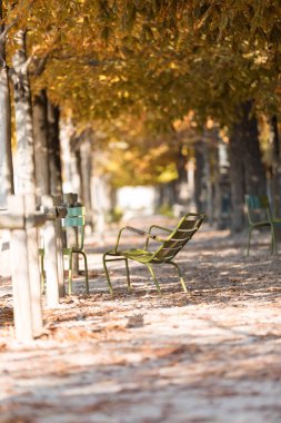 Paris sonbaharda. Bahçe Tuileries. Düşen yapraklar ile sonbahar park manzaralı görünüm