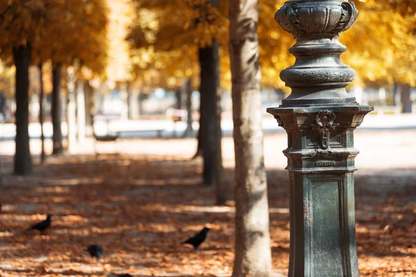 Otoño París Jardín Tullerías Vista Panorámica Del Parque Otoño Con — Foto de Stock