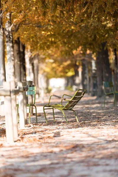 Autumn in Paris. Garden Tuileries. Scenic view of the autumn park with fallen leaves