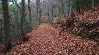 Manteigas 'ta Autumun - Serra da Estrela - Portekiz