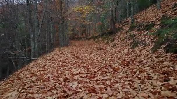 Autumn Manteigas Serra Estrela Portugal — Stockvideo