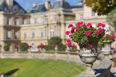Güzel Lüksemburg Sarayı Paris, Fransa