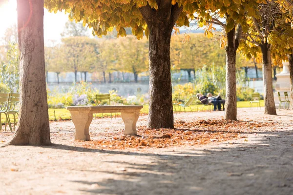 Otoño París Jardín Tullerías Vista Panorámica Del Parque Otoño Con — Foto de Stock