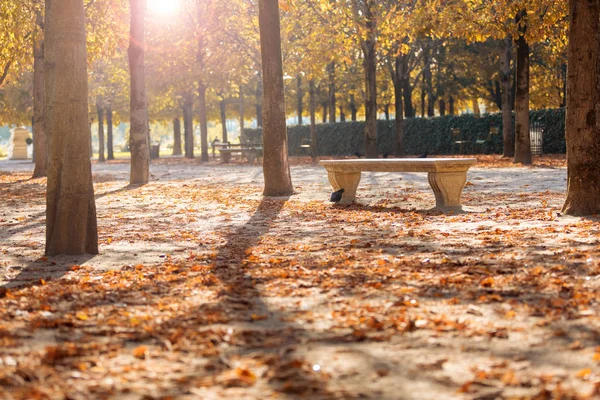 Autumn Paris Garden Tuileries Scenic View Autumn Park Fallen Leaves — Stock Photo, Image