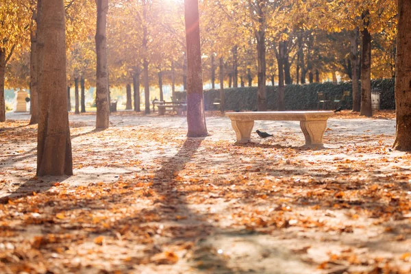 Otoño París Jardín Tullerías Vista Panorámica Del Parque Otoño Con — Foto de Stock