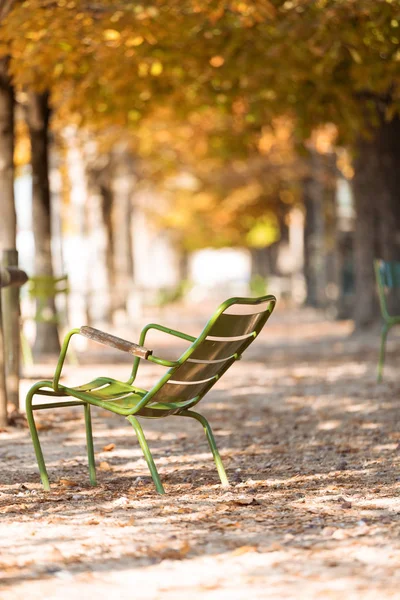 Cadeira Verde Parque Outono Com Árvores — Fotografia de Stock