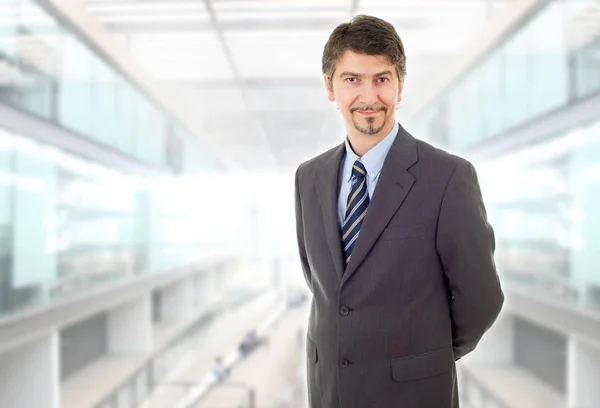 Retrato Del Hombre Negocios Feliz Oficina —  Fotos de Stock