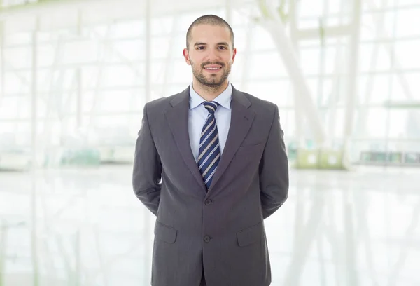 Glücklicher Geschäftsmann Porträt Büro — Stockfoto