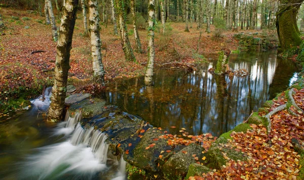 River Autumn Season Geres National Park Portugal — Stock Photo, Image