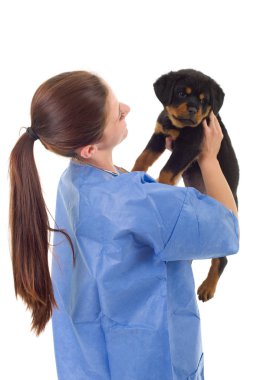 Beyaz arka planda izole edilmiş bir köpek yavrusu olan esmer bir veteriner.