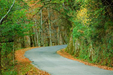 Geres, Portekiz Milli Parkı ağaçlarda sonbahar manzara yolu ile ve güzel renkli