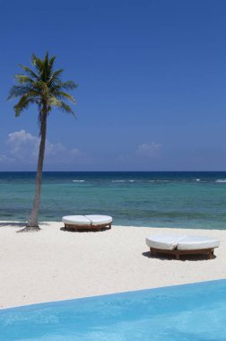Karayip Denizi çare. Yucatan, Meksika
