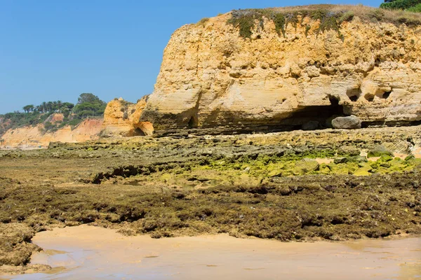 Mooi Strand Bij Albufeira Algarve Het Zuiden Van Portugal — Stockfoto