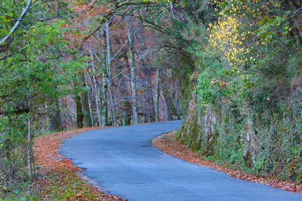 Herbstliche Landschaft Mit Strassen Und Schönen Farbigen Bäumen Geres Portugiesisches — Stockfoto