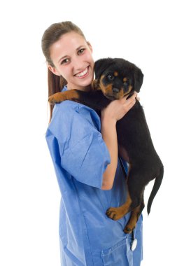 Beyaz arka planda izole edilmiş bir köpek yavrusu olan esmer bir veteriner.