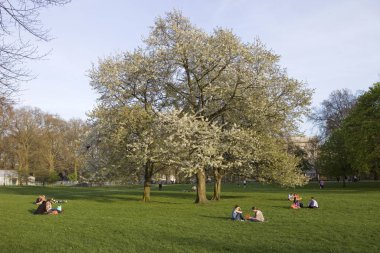 İnsanlar rahatlatıcı öğleden sonra sırasında parkta büyük miktarda