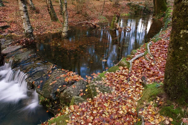 Река Сезон Автумн Национальном Парке Жереш Португалия — стоковое фото