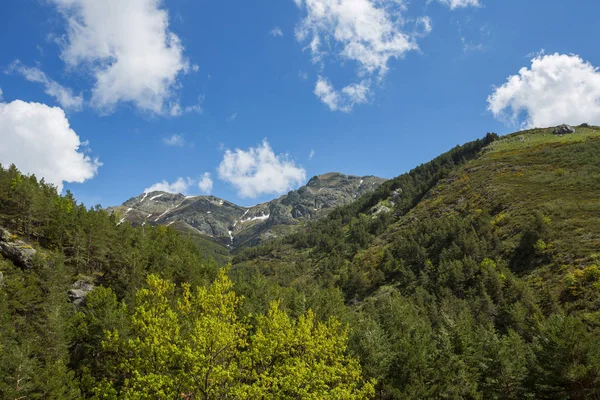Paisagem Montanhosa Parque Nacional Picos Europa Espanha Astúrias Neve Nos — Fotografia de Stock