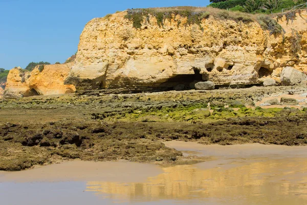 Hermosa Playa Albufeira Algarve Sur Portugal — Foto de Stock