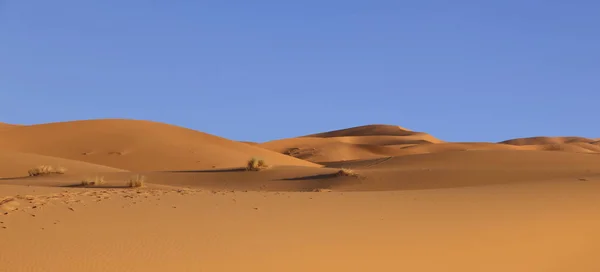 Дюны Пустыни Сахара Марокко — стоковое фото