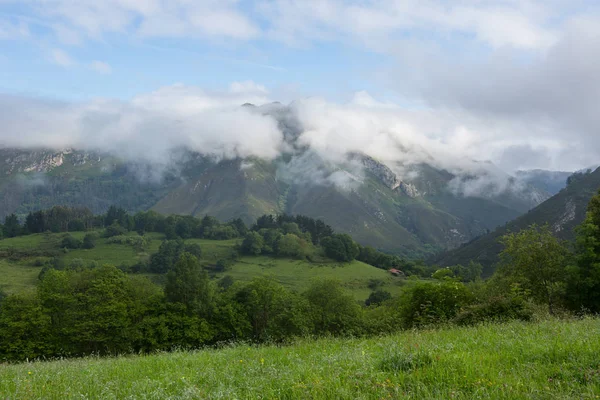 Veduta Delle Montagne Picos Europa Asturie Spagna — Foto Stock