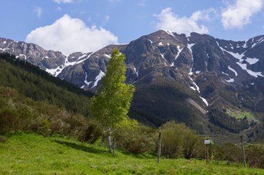 Picos de Europa 'daki dağların manzarası, Asturias, İspanya