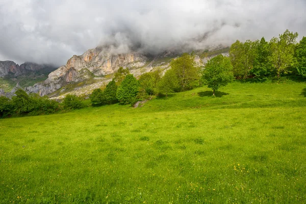 View Fields Mountains Picos Europa Asturias Spain — Stock Photo, Image