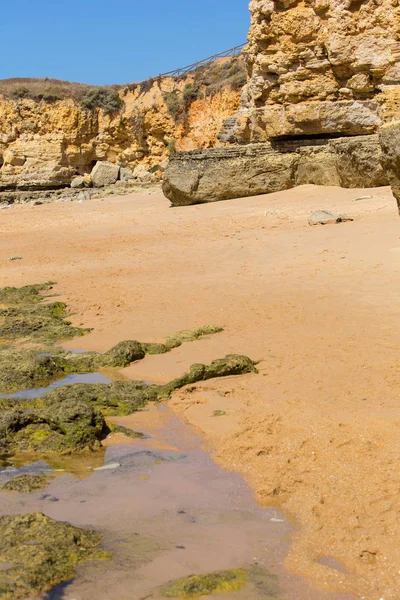 Hermosa Playa Albufeira Algarve Sur Portugal —  Fotos de Stock