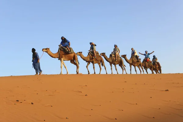 Hassilabied Marruecos Gente Está Tomando Camello Desierto Del Sahara — Foto de Stock