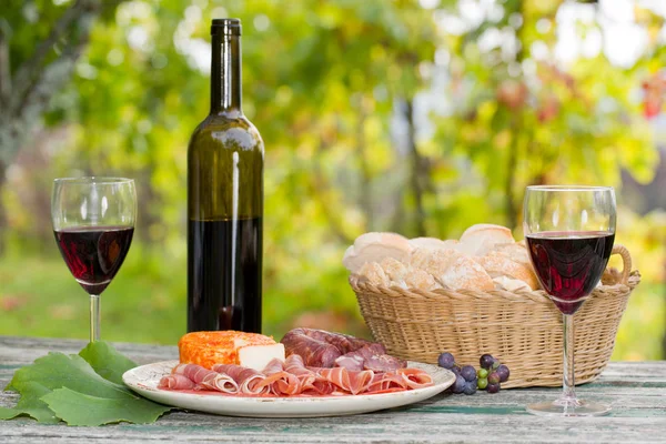 Country life setting with wine, fruits, cheese and meat. Outdoor — Stock Photo, Image