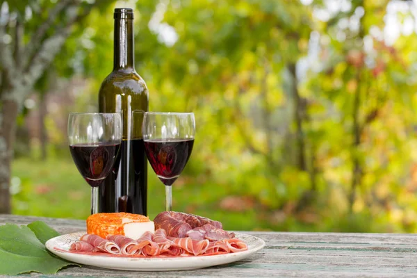 Ambiente de vida campestre con vino, frutas, queso y carne. Exterior — Foto de Stock