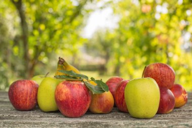 meyve bahçesinde açık ahşap tablo