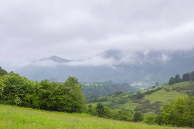 Picos de Europa