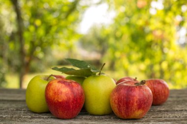 Tahta bir masada, yeşil arka planda olgun elmalar.